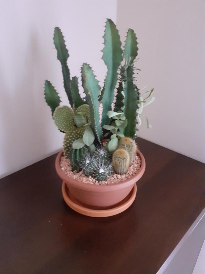 Sloneczny Apartament Z Malym Ogrodkiem 베예로보 외부 사진